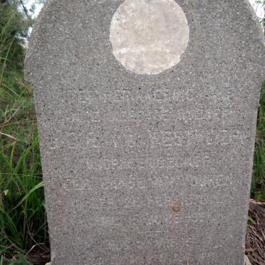 WESTHUIZEN van der ?