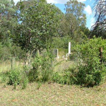 1. Overview of  Potch Witkop