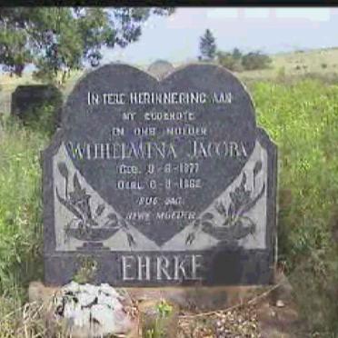 North West, POTCHEFSTROOM district, Bronkhorstfontein 566, farm cemetery_1