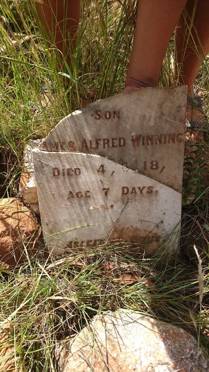 WINNING James Alfred -1918