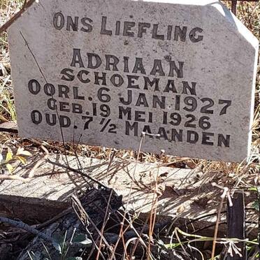 SCHOEMAN Adriaan 1926-1927