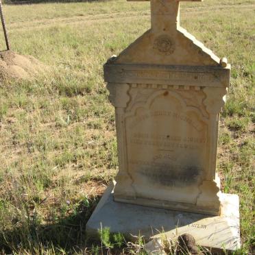 NICHOLLS Richard Henry 1857-1890 :: GROENEVELD Alwyna Theodora 1893-1893