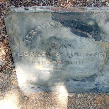 D - Surnames starting with the letter D