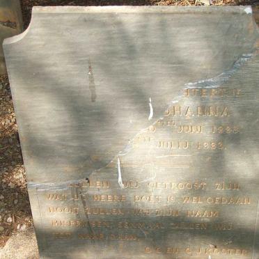 KOSTER Johanna 1883-1883