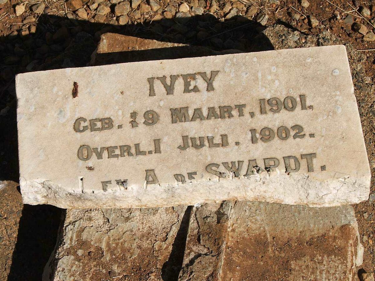 SWARDT  Ivey, de 1901-1902