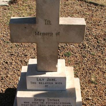 TREVOR Lily Jane -1895