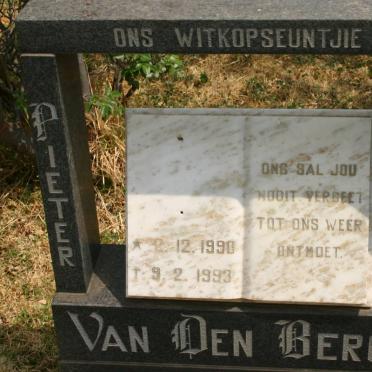 BERGH Pieter Nicolaas, van den 1990-1993