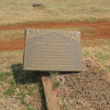 BORCHERDS Meent J.J. 1921-1942