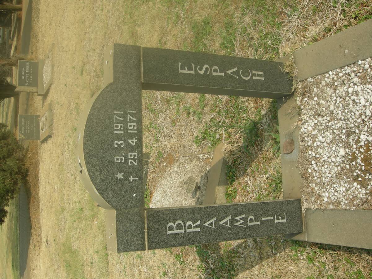 ESPACH Braampie 1971-1971