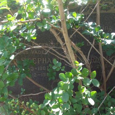 HORN Pieter Stephanus 1887-1962 &amp; Maria Jacoba Hendrina 1890-1980