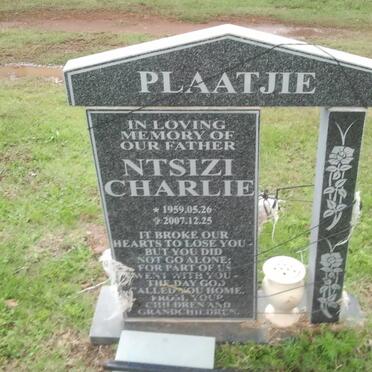 PLAATJIE