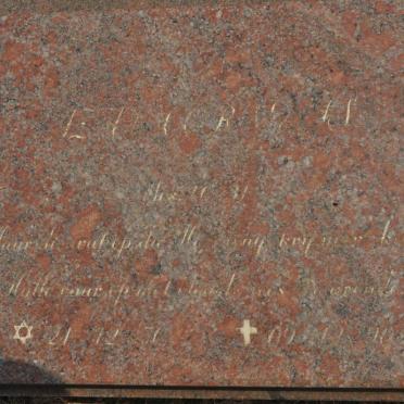 PLESSIS Isak Cornelis, du 1950-1990