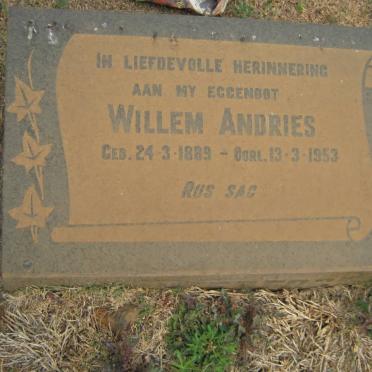 SCHEEPERS Willem Andries 1889-1953