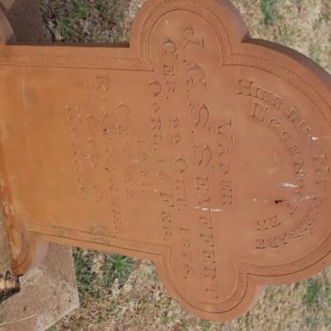 SEYFFERT J.G.S. 1875-1941