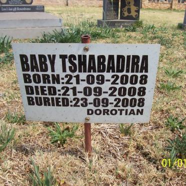 TSHABADIRA Baby 2008-2008