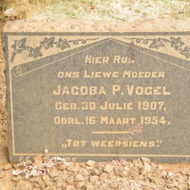 VOGEL Jacoba P. 1907-1954