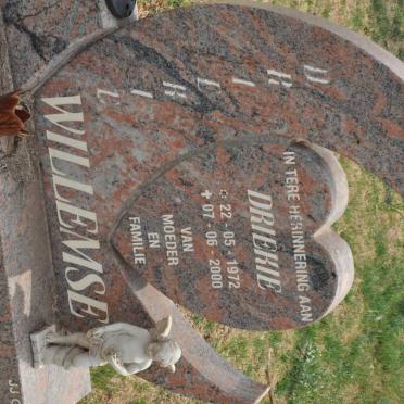 WILLEMSE Driekie 1972-2000