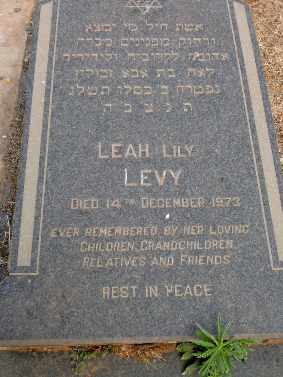 LEVY Leah Lily -1973