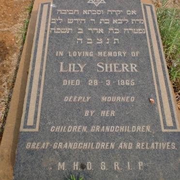 SHERR Lily -1965