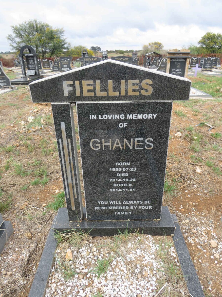 FIELLIES Ghanes 1955-2014