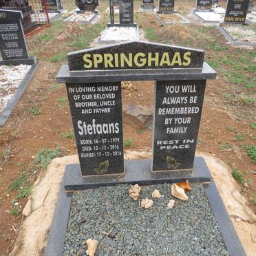 SPRINGHAAS Stefaans 1979-2016