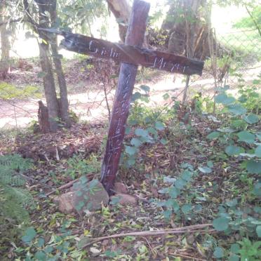 MEYER Gielie 1955-1977