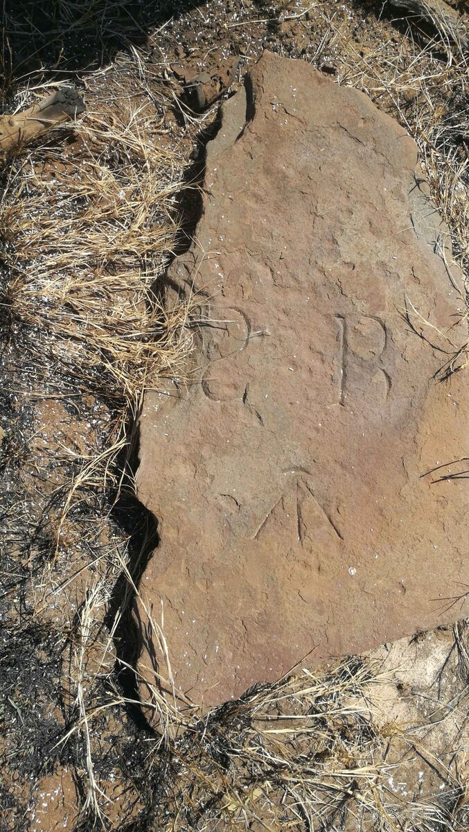 YOUNG Robert Scott 1833-1890