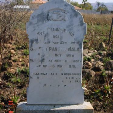 MALAN Sarel Francois 1892-1916