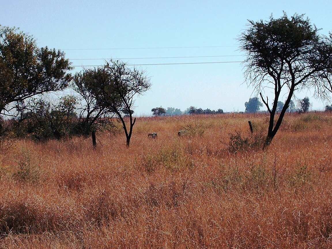 1. Arnodistad overview