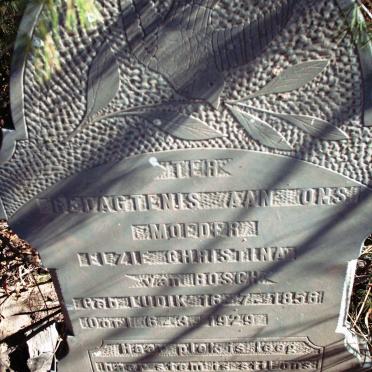 BOSCH Elsie Christina, van nee LUDIK 1856-1929