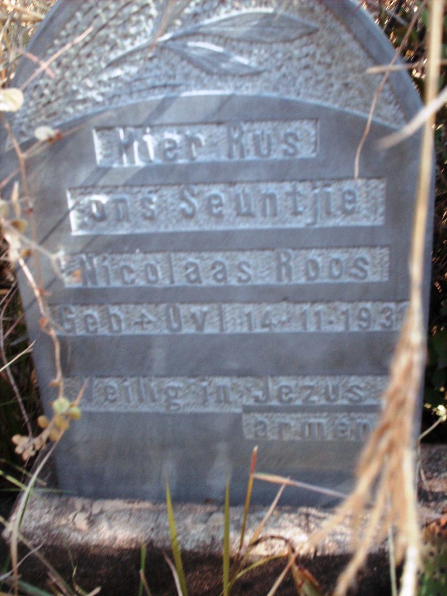 ROOS Nicolaas 1931-1931