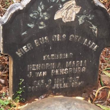 North West, RUSTENBURG district, Mooinooi, Buffelsfontein 344_1, cemetery