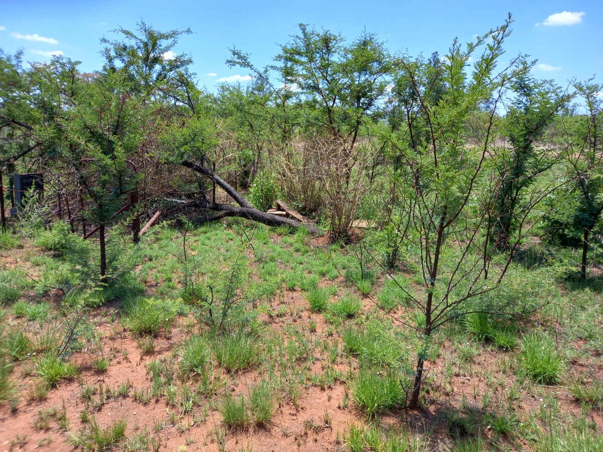 2. Overview / Oorsig