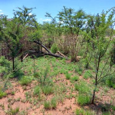 2. Overview / Oorsig