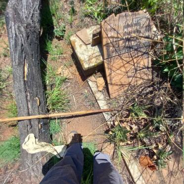 PLESIES Elizabeth Susanna, du nee MARAIS