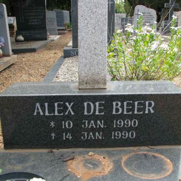 BEER Alex, de 1990-1990