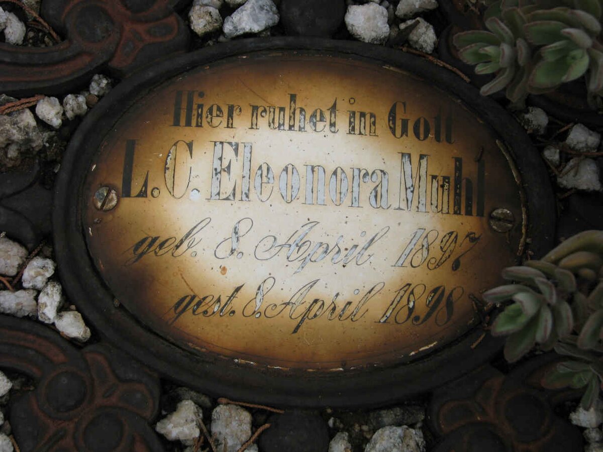 MUHL L.C. Eleonora 1897-1898