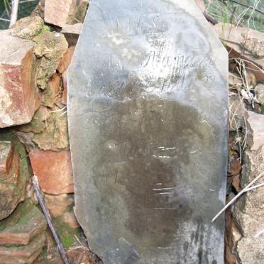 STANDER A.P. 1845 -1868