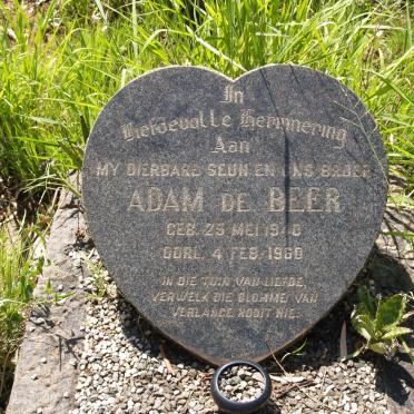 BEER Adam, de 1940-1960