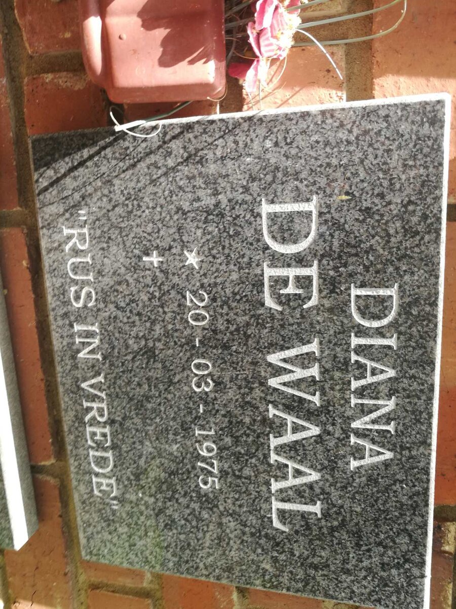 WAAL Diana, de 1975-