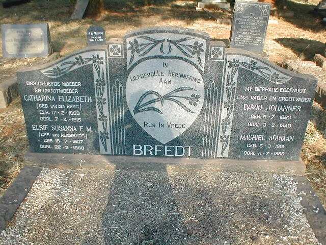 BREEDT :: VAN DER BERG :: VAN RENSBURG