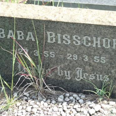BISSCHOFF 1955-1955
