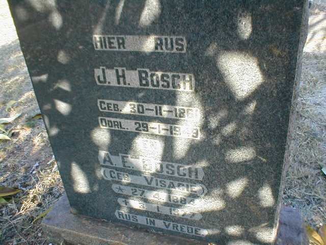BOSCH J.H. 1861-1949 &amp; A.E. VISAGIE 1884-1977