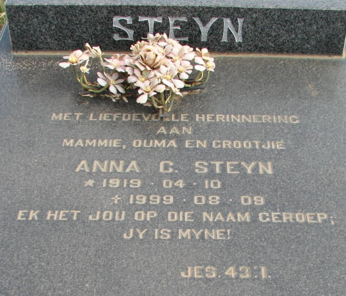 STEYN Anna C. STEYN 1919-1999