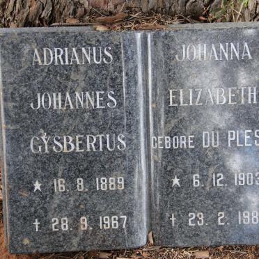 ? Adrianus Johannes Gysbertus 1889-1967 &amp; Johanna Elizabeth DU PLESSIS 1903-1980