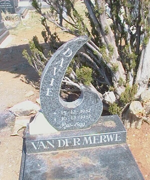MERWE Davie, van der 1987-1987