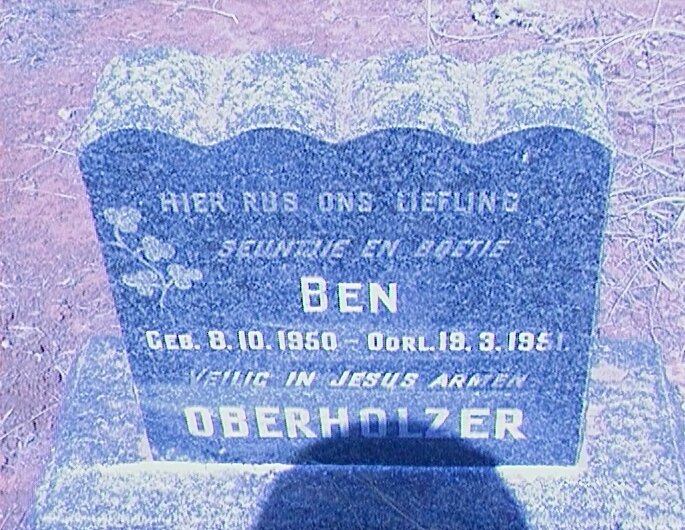 OBERHOLZER Ben 1950-1951
