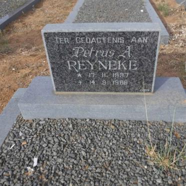 REYNEKE Petrus A. 1937-1986