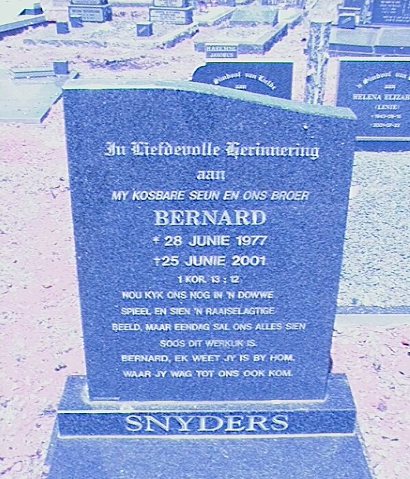 SNYDERS Bernard 1977-2001