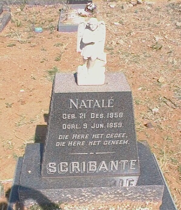 SCRIBANTE Natalé 1958-1959